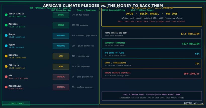 Africa's COP30 Countdown: Which Countries Have the Finance to Back Their Climate Pledges?